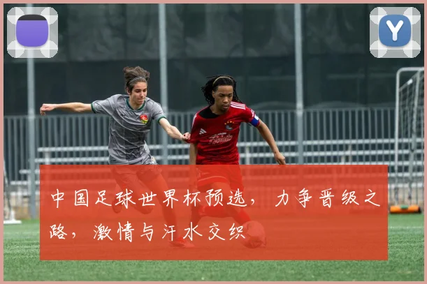 中国足球世界杯预选，力争晋级之路，激情与汗水交织