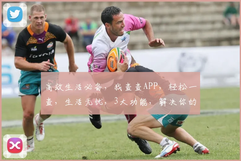 高效生活必备，我查查APP，轻松一查，生活无忧，3大功能，解决你的烦恼，快来看看吧