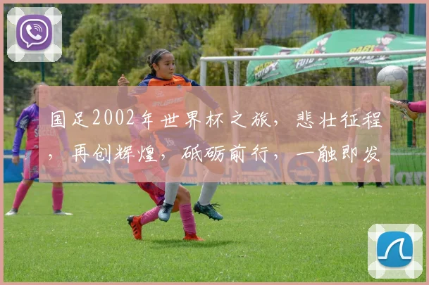 国足2002年世界杯之旅，悲壮征程，再创辉煌，砥砺前行，一触即发，共鉴传奇。