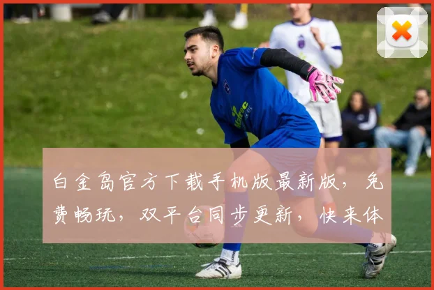 白金岛官方下载手机版最新版，免费畅玩，双平台同步更新，快来体验